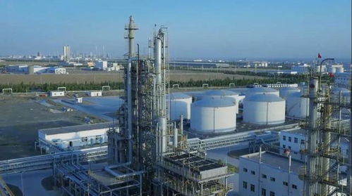 砥礪奮進(jìn)五年間 奎屯—獨(dú)山子經(jīng)濟(jì)技術(shù)開(kāi)發(fā)區(qū)榮獲兩項(xiàng)國(guó)家級(jí)殊榮，技術(shù)轉(zhuǎn)讓成果顯著