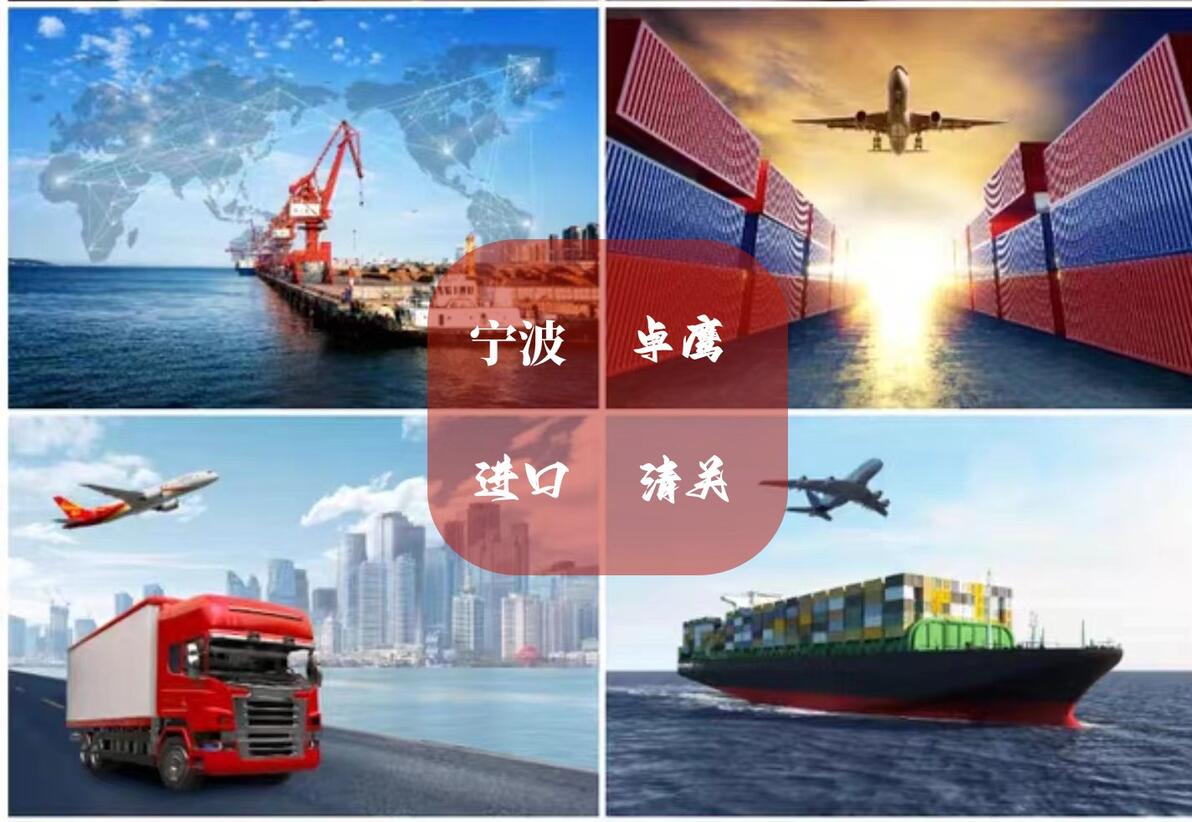 寧波進出口外貿代理 一站式物流與買單報關服務解析